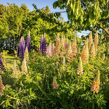 Ka:ma Hof Uckermark Διαμέρισμα Carmzow-Wallmow