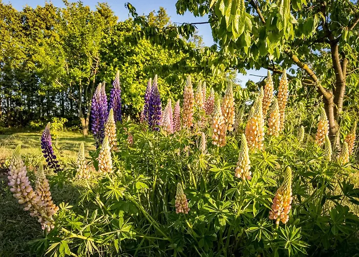 Ka:ma Hof Uckermark Apartmán Carmzow-Wallmow